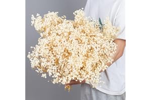 ESLIBIN Dried-Babys-Breath: Baby Breath Flower Bouquet with 2500+ Ivory White Dry Flowers, Natural Gypsophila Branches for Home, Table Decor, Dry Flowers Bulk for Vase, Wedding, DIY, Party (3oz)