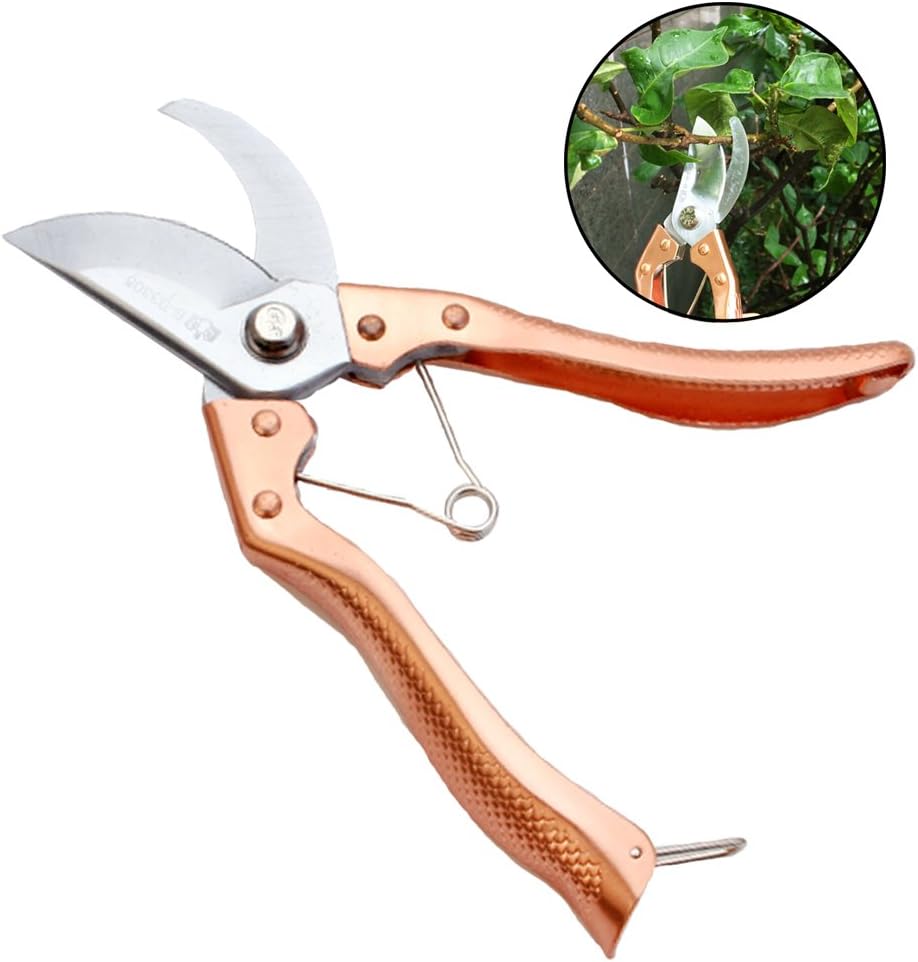Pruning Shears, 8" Stainless Steel Blade Hand Pruners Tree