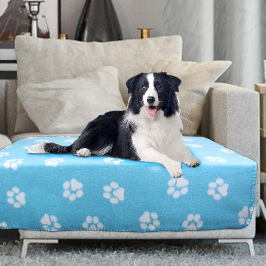 AK KYC 6 Pack Mixed Puppy Blanket Cushion Dog Cat Fleece Blankets Pet Sleep Mat Pad Bed Cover with Paw Print Kitten Soft Warm Blanket for Animals : Pet Supplies