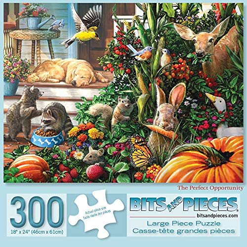 Bits and Pieces 300 Piece Jigsaw Puzzles for Adults Value Set of