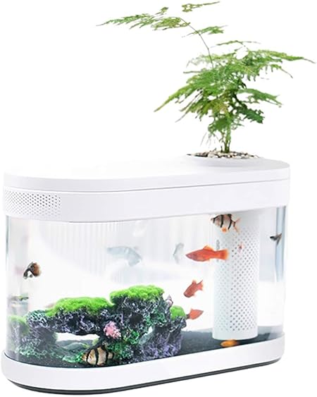 small modern aquarium