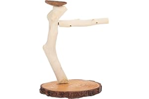 TOTORITY Desk Topper Bird Playstand Birdcage Playstand Desktop Bird Perch Tabletop Wood Shelf Parakeet Toys Desktop Stand