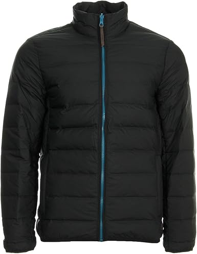 bear head timberland