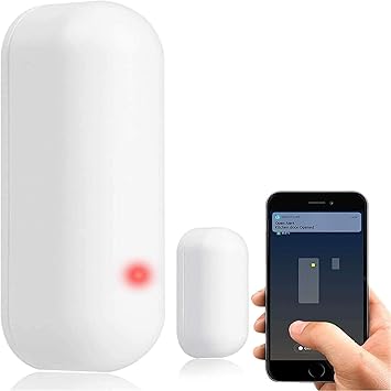 alexa battery operated