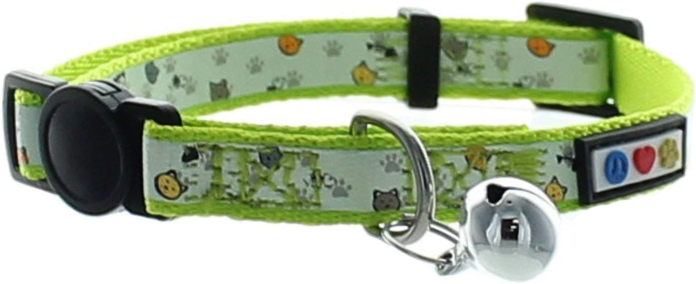 glow in the dark kitten collar