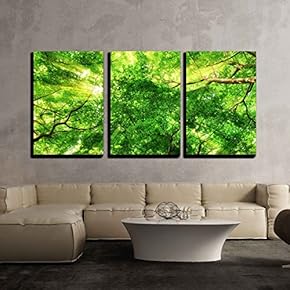3 Piece Canvas Wall Art - Sunrays Shining Through Green Leaves of High Treetops in a Beech Forest - Modern Home Art Stretched and Framed Ready to Hang - 16"x24"x3 Panels