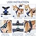 rabbitgoo Dog Harness No Pull with 2 Leash Clips, Adjustable Soft Padded, Reflective Oxford No Choke Pet Vest with Easy Control Handle for Large Dogs, Dazzling Blue, XL