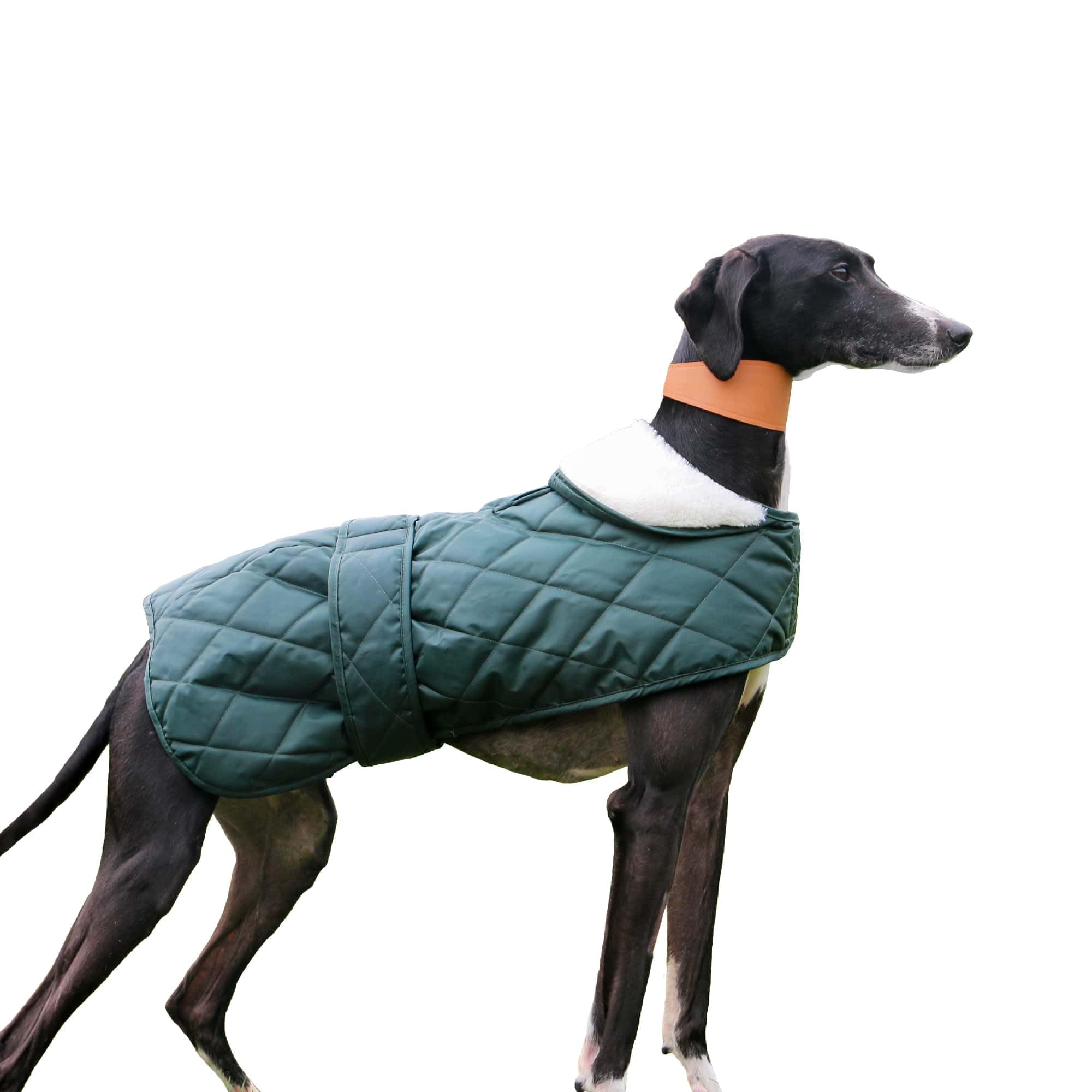 Ancol Heritage Quilted Hound Dog Coat - Green - Warm Lining Snugly Fit Pet Outerwear with Hook and Loop Straps - Puppy Winter Jacket - 53cm - Large