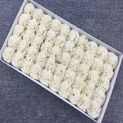 Ocama Carnation Flower Head for Mother's Day Gift,Handmade Soap Home Decoration, 50 Pcs