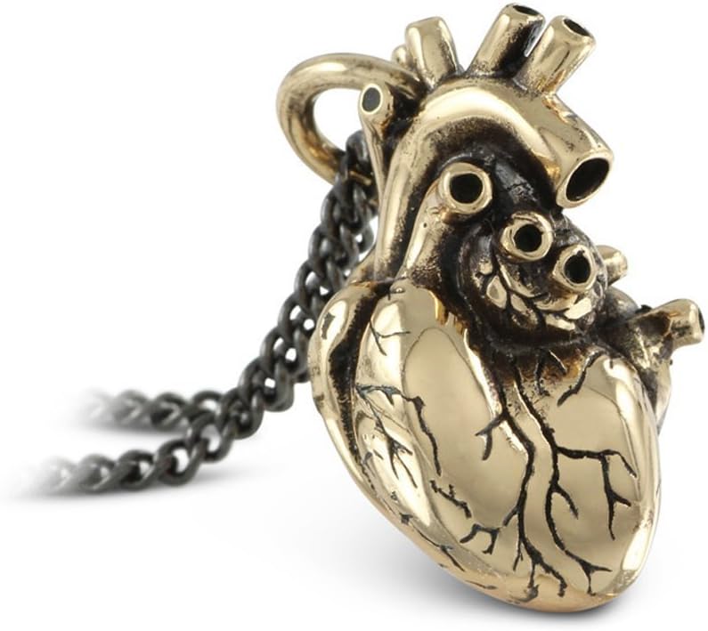 Anatomical Heart Necklace - Bronze Anatomical Heart Pendant on Gunmetal Chain
