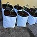 VIVOSUN 50-Pack 5 Gallon Grow Bagsthumb 1