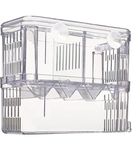 Boîte D'isolation Transparente Pour Poissons | Incubateur En Acrylique Pour Bébés Poissons, Crevettes, Betta Et Guppy Dtt