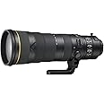 Nikon AF-S NIKKOR 180-400mm f/4E TC1.4 FL ED VR (super-telephoto) zoom lens