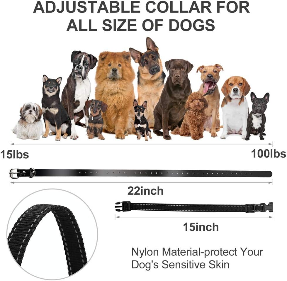 correction collar training for dogs