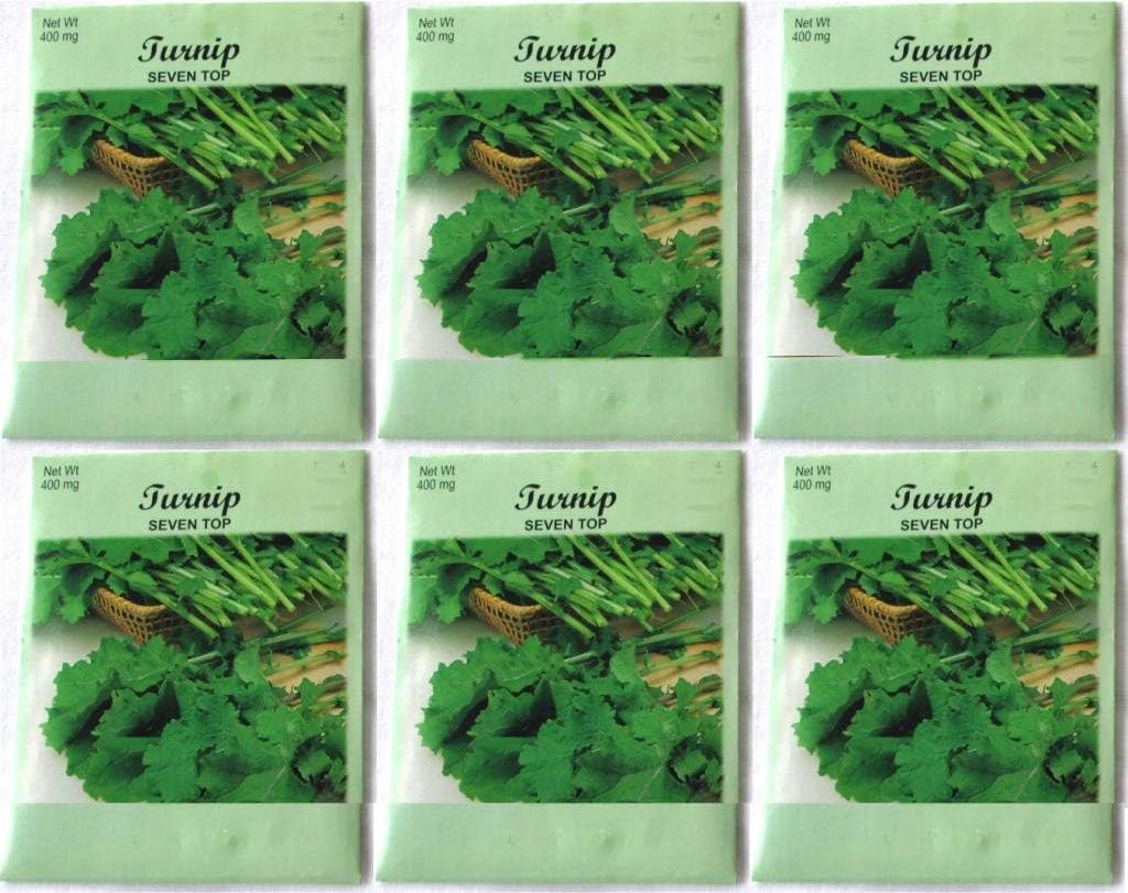 (6 Pack) 400 mg/Package Turnip Seven Top Seeds