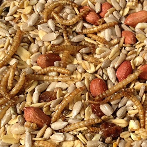 Pauls Mühle Wildvogelfutter Deluxe 10 kg – Bild 6