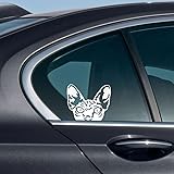 WIRESTER 6 inch Clear Vinyl Decal Sticker