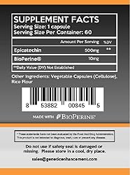 EPICATECHIN - 500MGs Per Serving - 60 Servings and