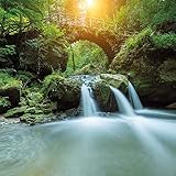 Image de Feng Shui Flow of Life (170122)