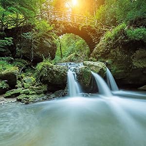 Feng Shui Flow of Life (170122)