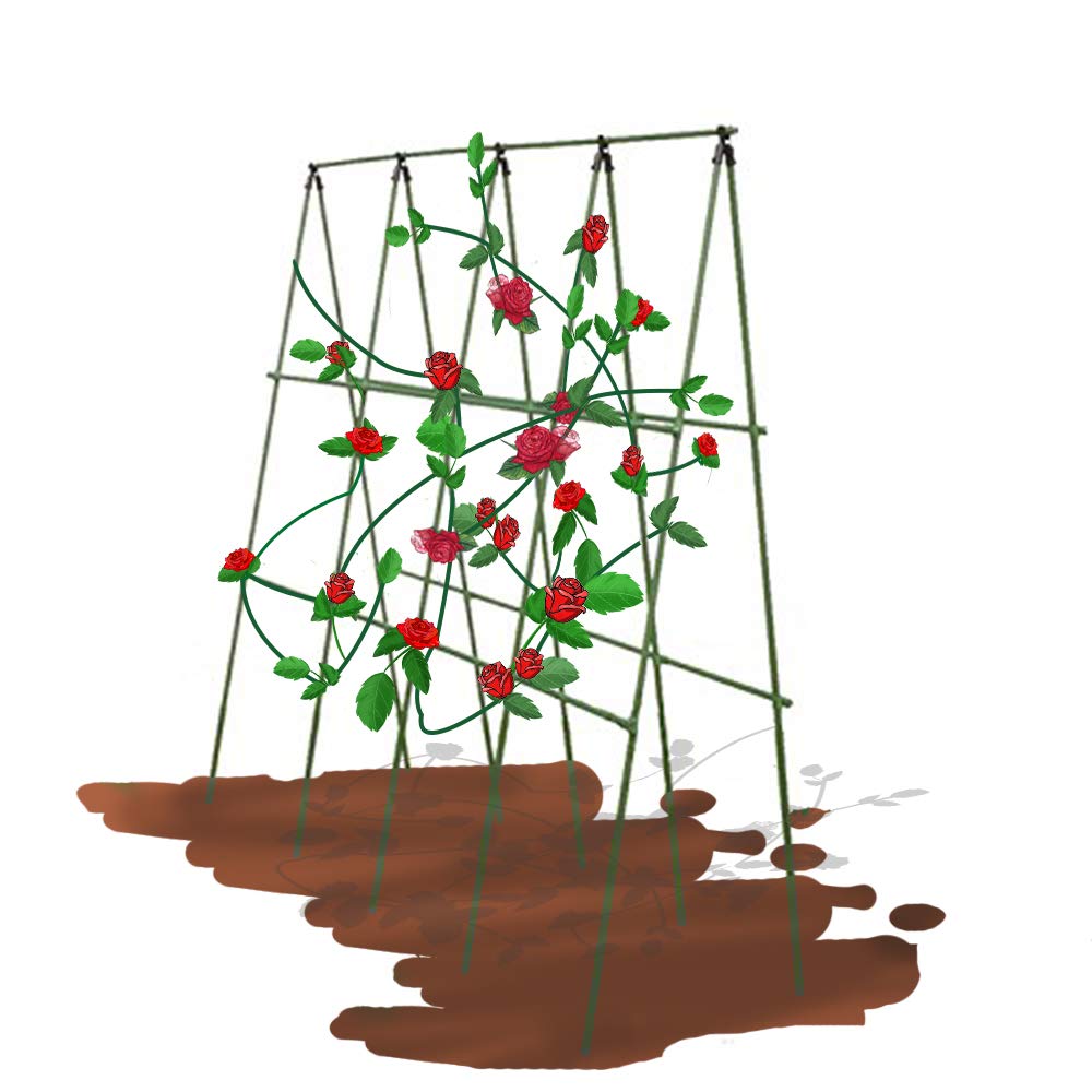 ecotrellis pepino enrejado con malla: Amazon.es: Jardín