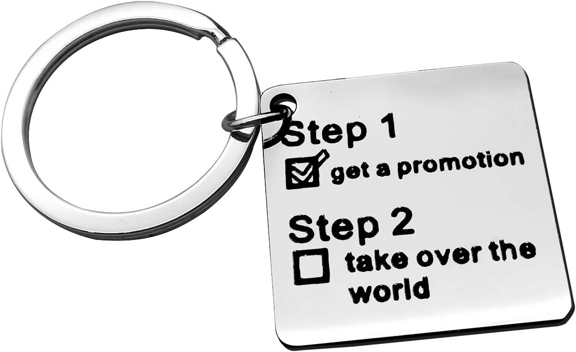 Funny New Job Gift Coworker Leaving Gift Job Promotion Gift Keyring Going Away Gifts Inspirational Gift Keyring for Colleague Boss Goodbye Friendship Keepsake Christmas Birthday Gift Office Gift