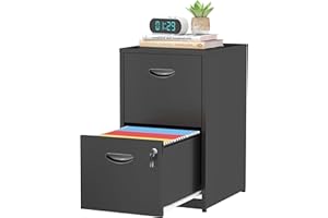 TIMELESS PIECES 2 Drawer File Cabinet with Lock,Black Small Filing Cabinet for Home Office, Metal Vertical File Under Desk Cabinets for A4/Letter,Assembly Required