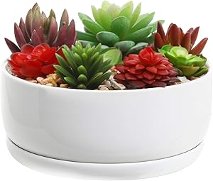 MyGift 6-Inch Decorative White Ceramic Succulent Flower Planter Pot with Round Tray