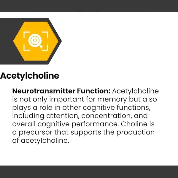 COGNISYNC NOOTROPIC BRAIN HEALTH SUPPLEMENT 60CT, 12 POWERFUL INGREDIENTS, LION’S MANE, ALPHA-GPC, COGNITIVE ENHANCEMENT, BRAIN FOG SUPPORT, MEMORY SUPPORT, SMART DRUG ALTERNATIVE