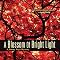 Amazon Com A Blossom Of Bright Light A Jimmy Vega
