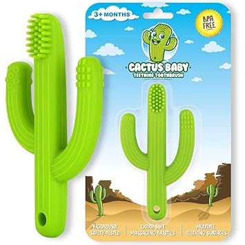 cactus teether target