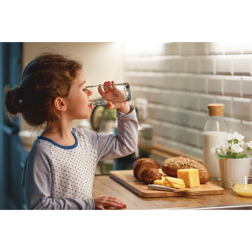 Frigidaire WF2CB PureSource 2® Water Filter