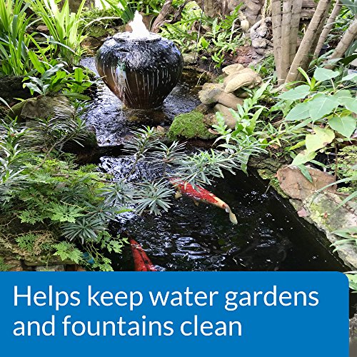 API POND ALGAEFIX Algae Control Solution 1-Gallon Bottle