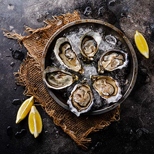 4 Rockland+Guard+Oyster+Shucker+Non+Slip