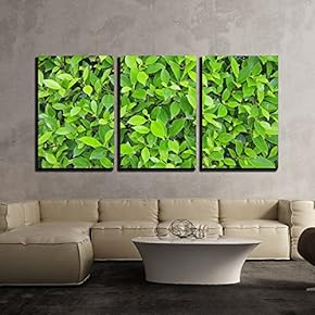 3 Piece Canvas Wall Art - Green Leaves Wall Background - Modern Home Art Stretched and Framed Ready to Hang - 16"x24"x3 Panels