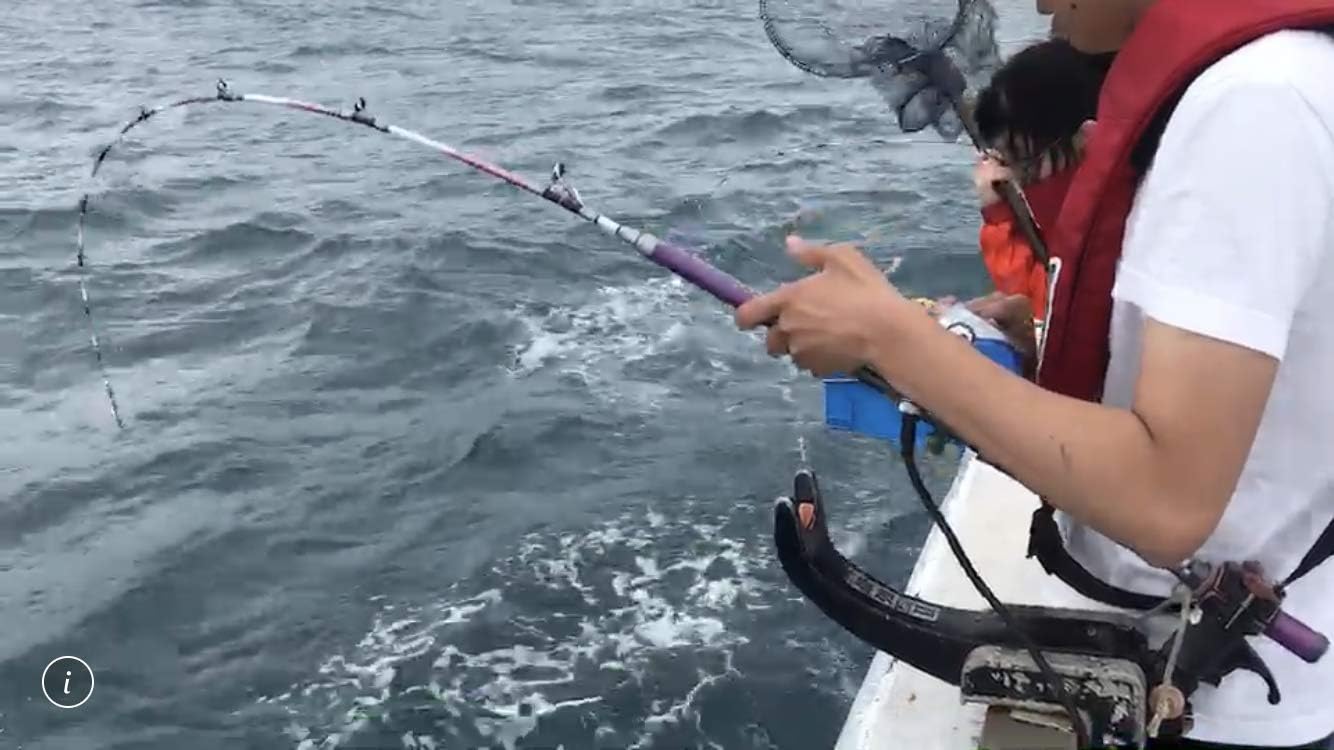 Amazon 総糸巻 バトルシップス 0 30 80号 ライト 手持ち竿 真鯛 マダイ ヒラメ イサギ 東京湾 フカセ釣り ブルーグランデーション Battleships バトルシップス 船竿