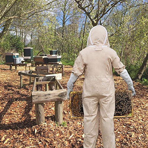 Aspectek - Apiarist Beekeeping Suit - Full Body Self Supporting Veil with Fixable Strap Protect from Stings-Large Size