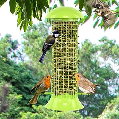 Amazon Com Wild Bird Feeders Finch Bird Automatic Feeder With