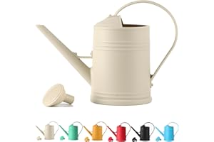 Watering Can 1/2 Gallon for Indoor Plants, Small Long Spout Plastic Watering Cans for House Plants, Water Can for Outdoor Gar