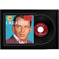 Jukebox Frame Album Frame Creative Picture Frames 16x24 Stainless Steel Finish 12 ...