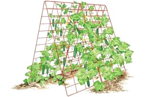 GARDENER'S SUPPLY COMPANY Gardeners Supply Company Deluxe Cucumber Trellis | Easy to Install Raised Garden Bed Cucumbers & Climbing Plants A-Frame Trellis | Outdoor Plant Support w/ 4" Grids for Easy Harvesting | 32"Wx46"H RED