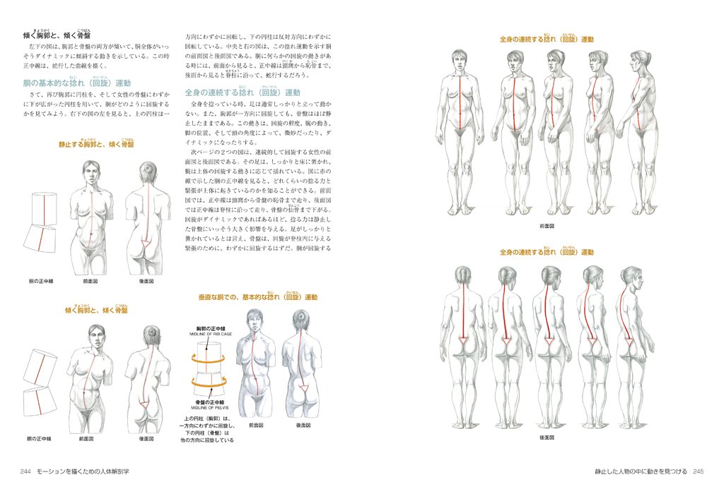 モーションを描くための美術解剖学 Amazon Co Uk Books