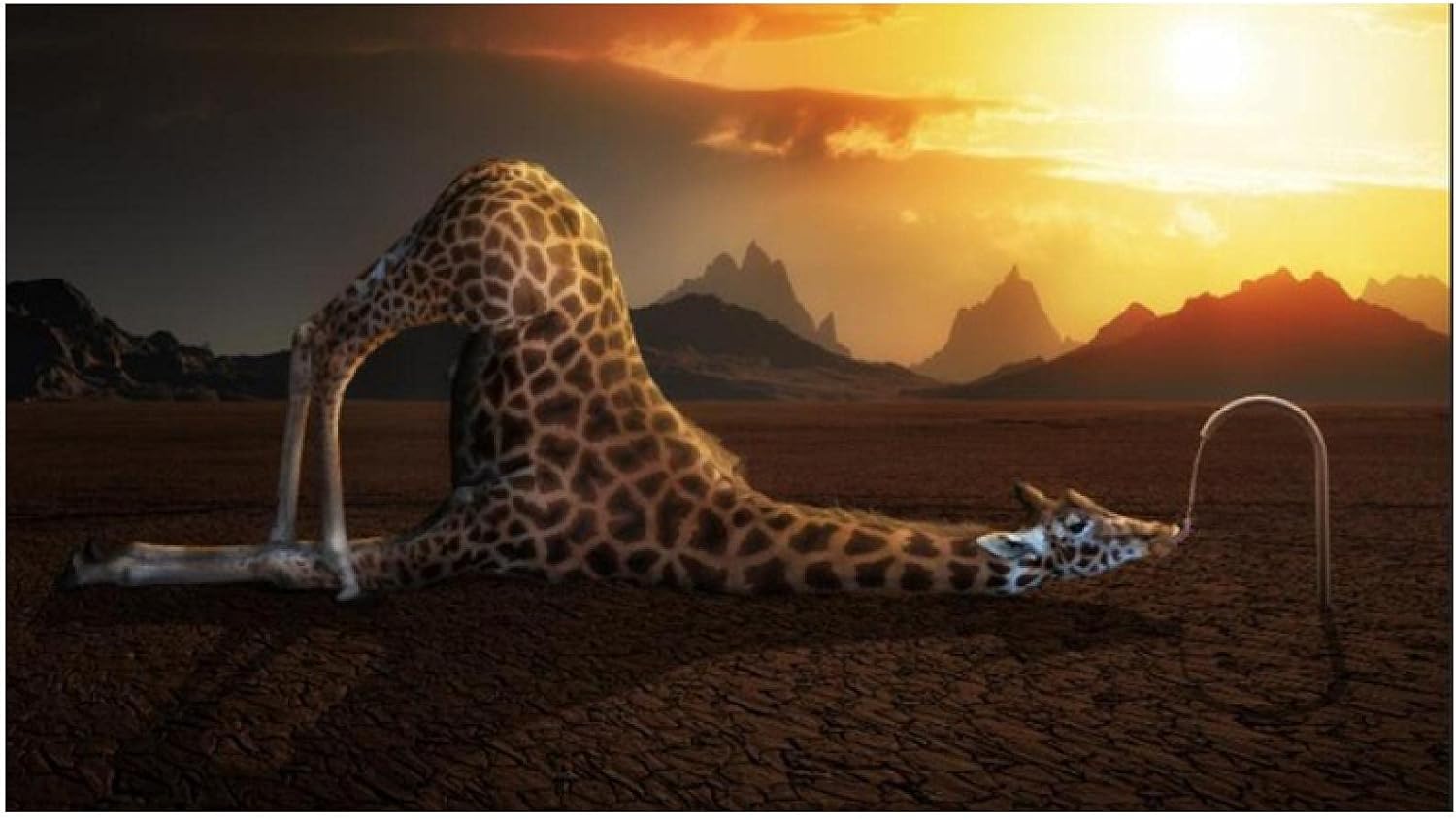 Amazon キリンドリンクウォーターランドスケーププリント家の装飾キャンバスポスターとプリントウォールアート動物の写真子供部屋の装飾 40x80cm フレームレス ウォールステッカー オンライン通販