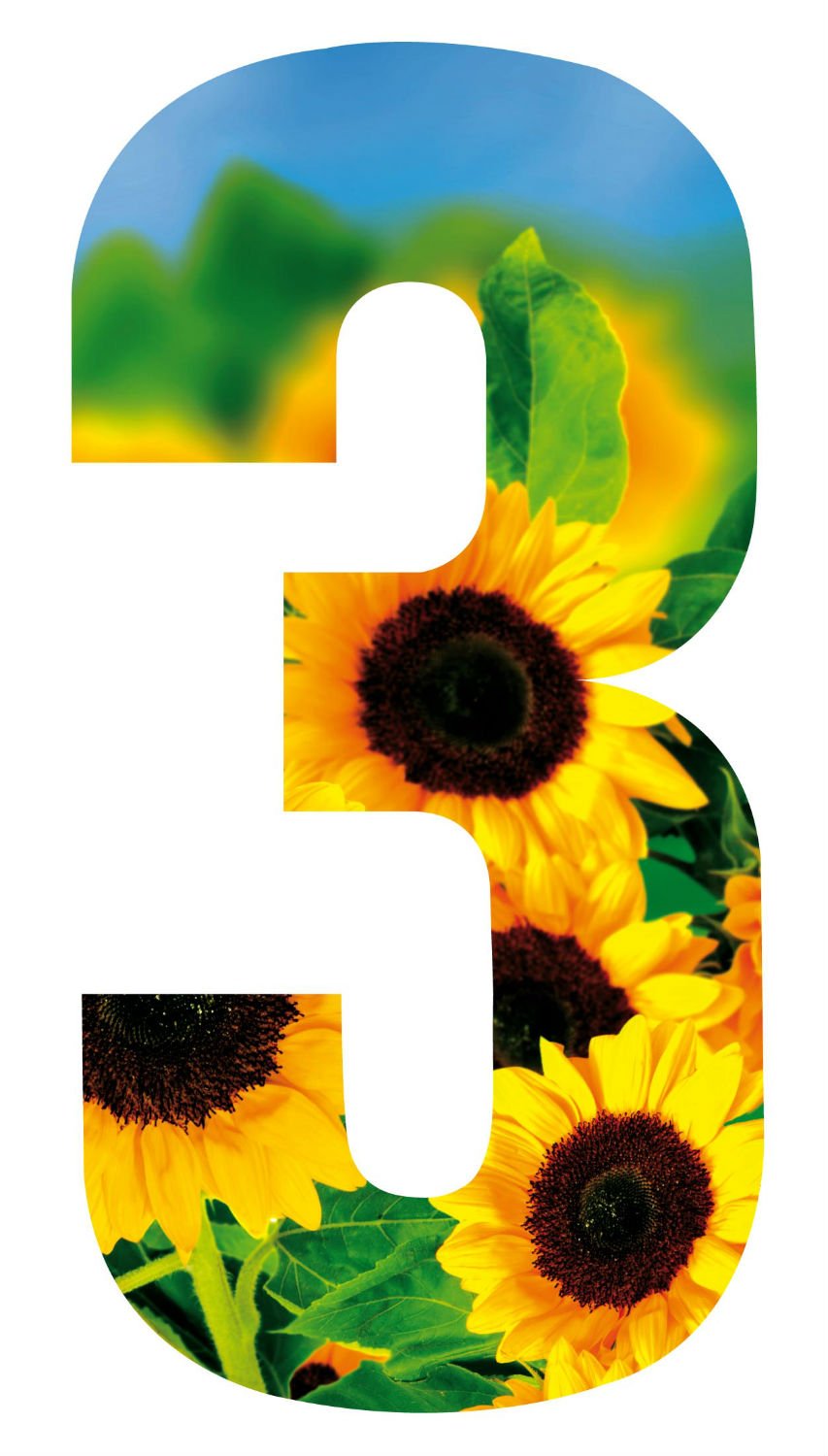 MONOGRAM Classic Signs Wheelie Bin Number Sunflower 3