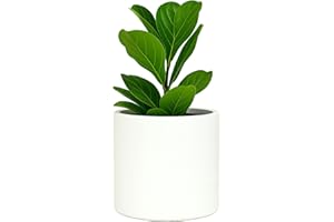 Fox & Fern Large 12 Inch Planter — Premium Lightweight Fiberstone Matte White Plant Pot w Drainage Plug; Large Indoor & Outdoor Planter; 12 Inch Pots for Plants Indoor; Weather & UV Resistant