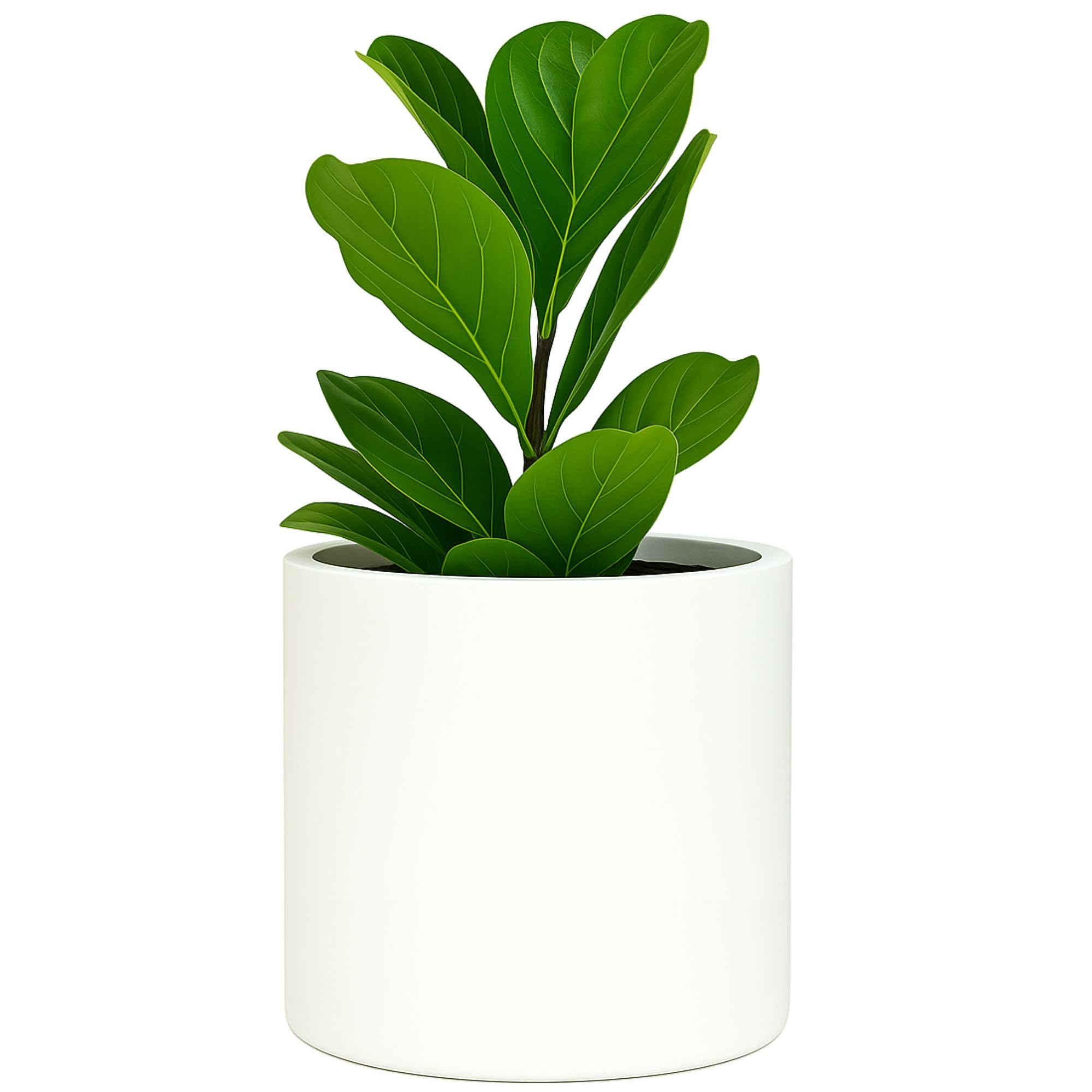 30cm Large Plant Pot by Fox & Fern - Perfectly Fits Plant Stand - Drainage Plug - Indoor and Outdoor - Matte White