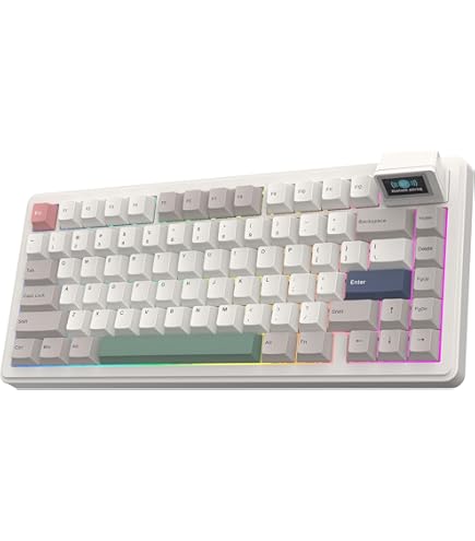 Amazon.com: EPOMAKER RT100 97 Keys Gasket BT5.0/2.4G/USB-C