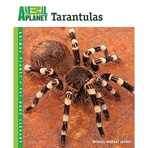 Tarantulas (Animal Planet Pet Care Library)