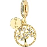 ARVALILS 925 Sterling Silver Charms fits Bracelets and Necklace Pendant Bead Charms Jewelry Gift for Women Family Friends