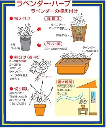 Amazon 平和 ラベンダー ハーブの培養土 10リットル 用土